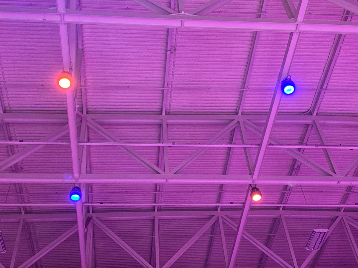 Ceiling Chromabeams LED Close-up